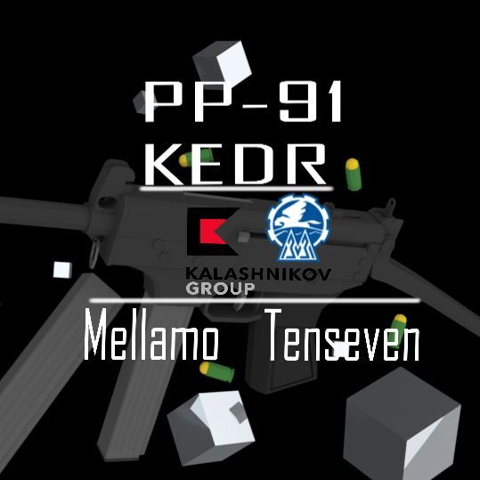 PP-91 KEDR