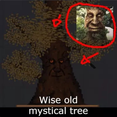 wise old mystical tree
