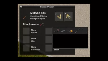 Inspect Weapon 2