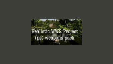 WW2 Collection-Post Scriptum knockoff