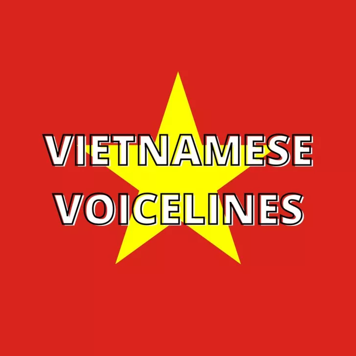 Vietnamese Player/Team Voice