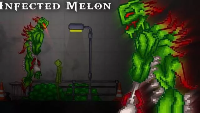Infected Melon