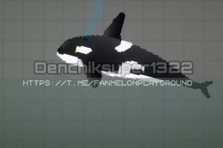 NPC killer whale