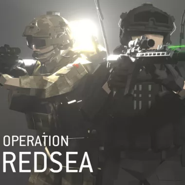 Operation Red Sea