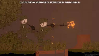 The Nearby Conflicts Base: Canadian Armed Forces 0