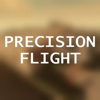 Precision Flight