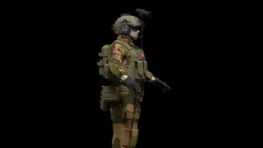 Norwegian Armed Forces 2