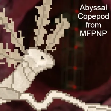 Abyssal Copepod from MFPNP