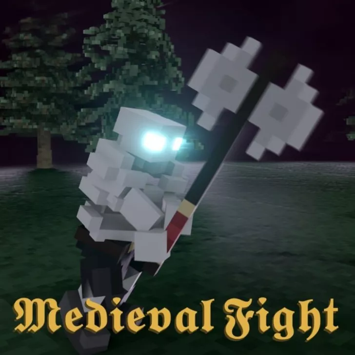 Medieval Fight