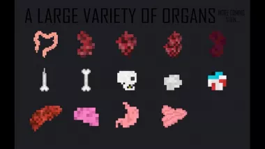 Organs Mod 1