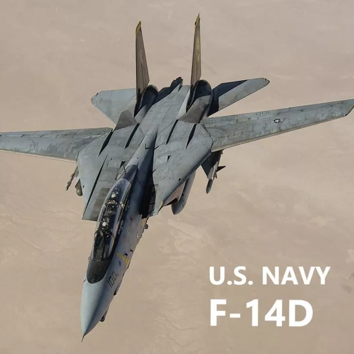 F-14D [BETA!!!]