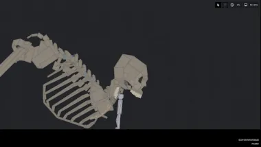 Craig The Armless Skeleton 1