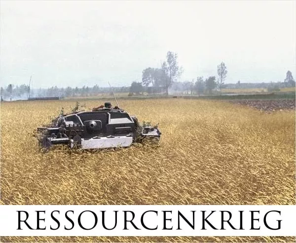 Ressourcenkrieg