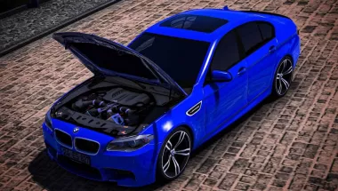 BMW 5 Series F10 0