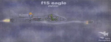 Combat Fighter - F15 Eagle