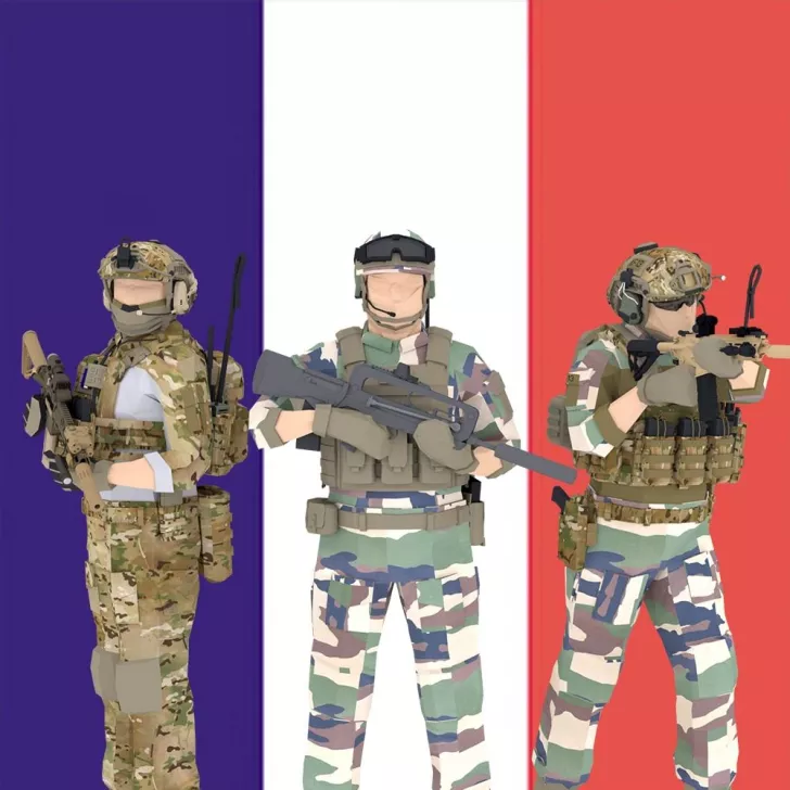 Modern French Army
