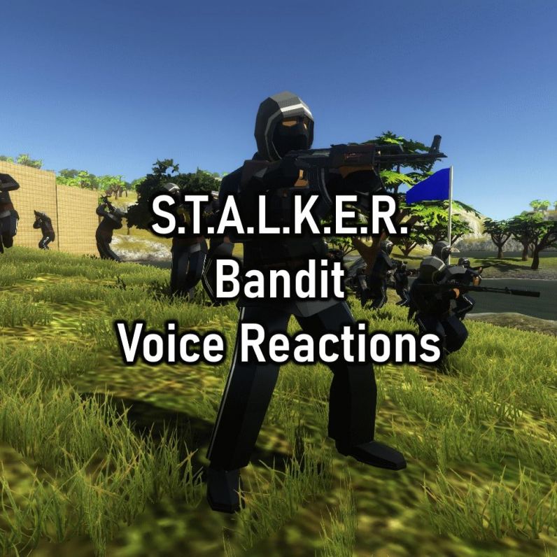 S.T.A.L.K.E.R. Bandit Voice Reactions