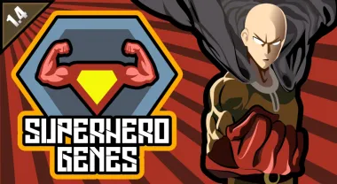 Superhero Genes - Base