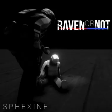 Raven Or Not