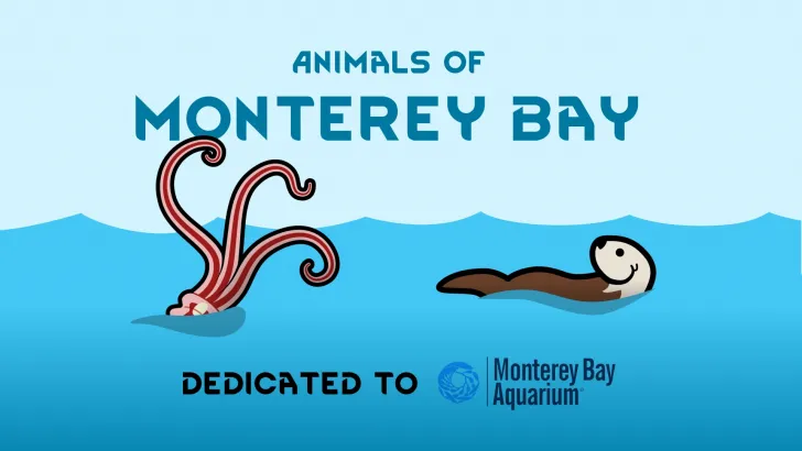Animals of Monterey Bay