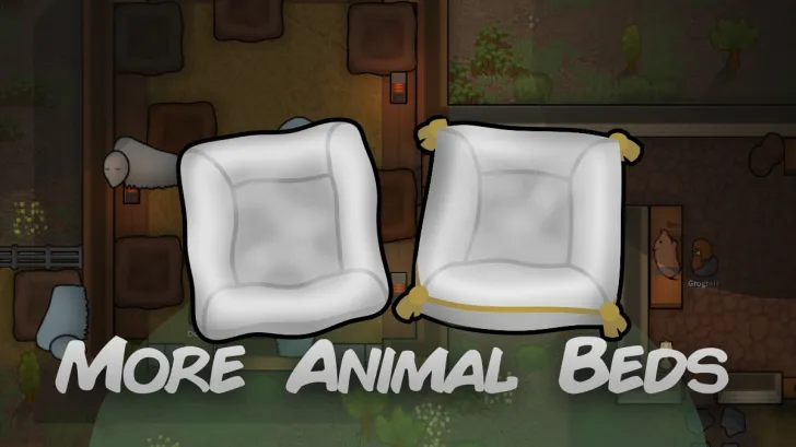 More animal beds