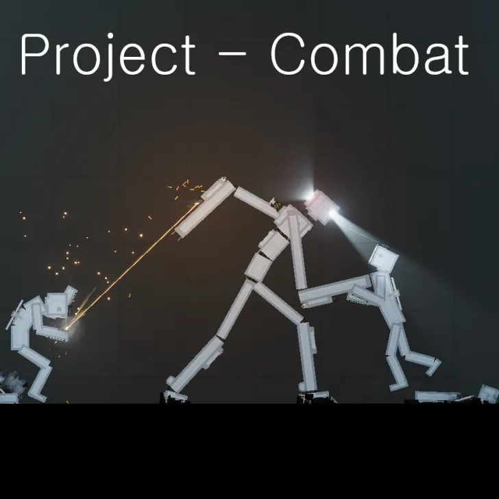 Project - Combat