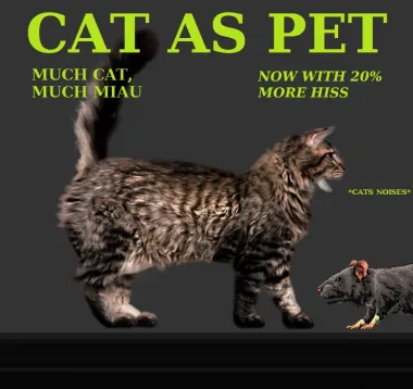 Cat as Pet