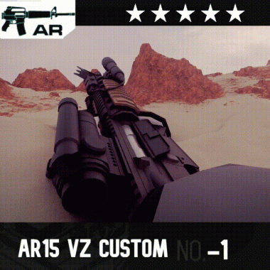 AR-15 VZ Custom
