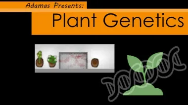 Plant genetics