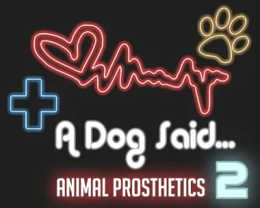 A Dog Said... Animal Prosthetics 2