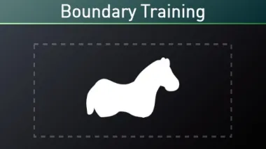 Boundary Training