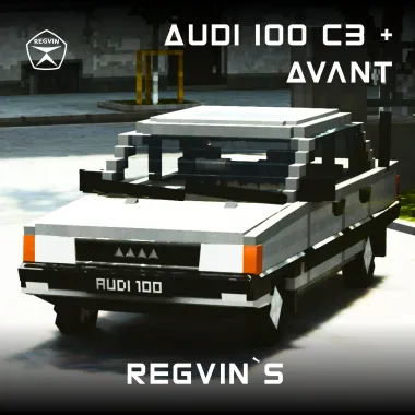 Regvin`s Audi 100 C3 + Avant (1982)
