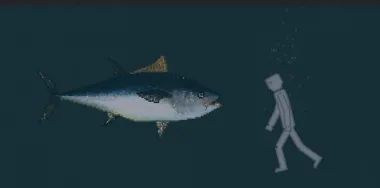 SeaLife Pack 1