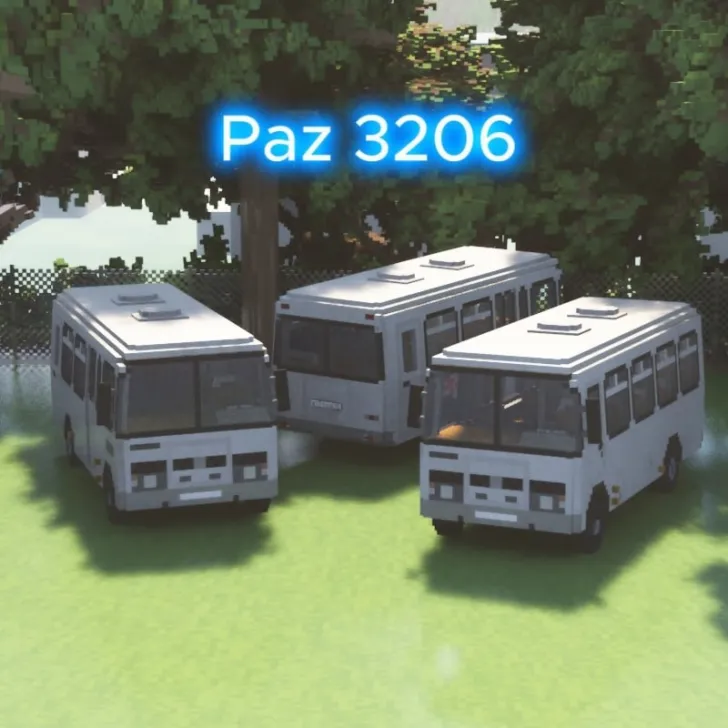 Paz 3206