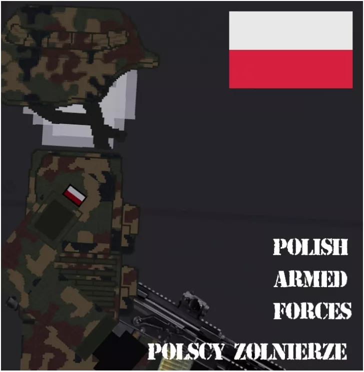Polish Armed Forces: Soldiers
