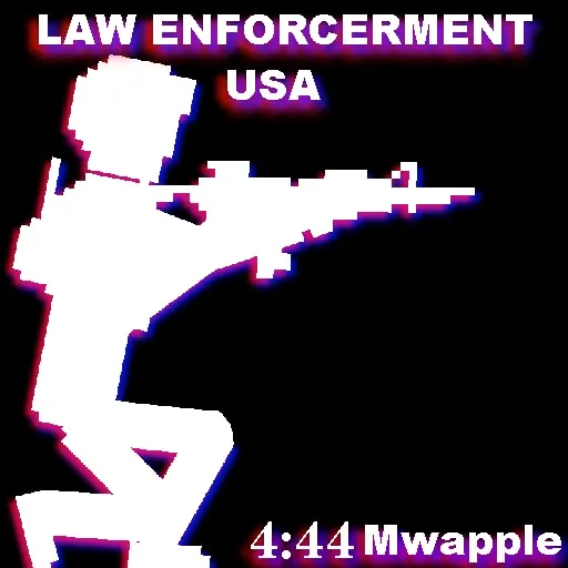United States law enforcement