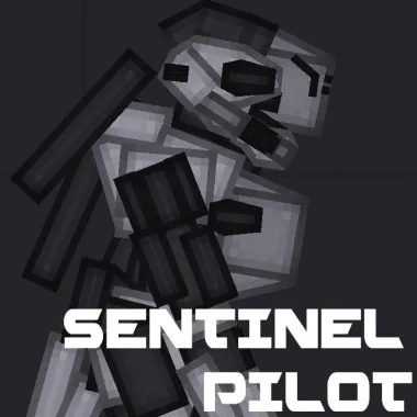 Sentinel Pilot