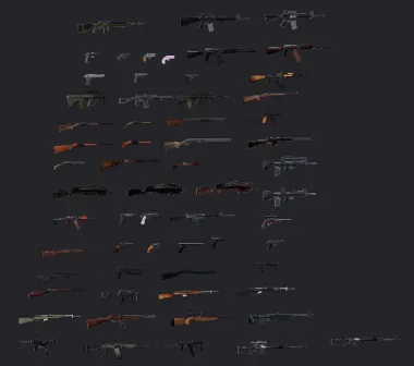 DayZ Guns 1