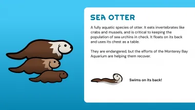 Animals of Monterey Bay 0