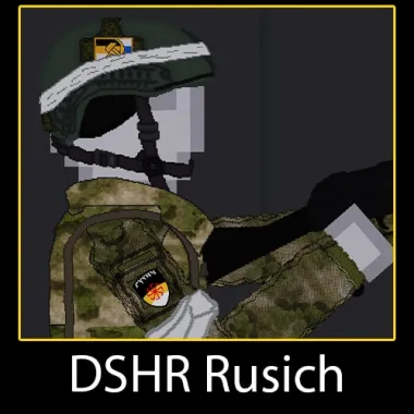 DSHR Rusich