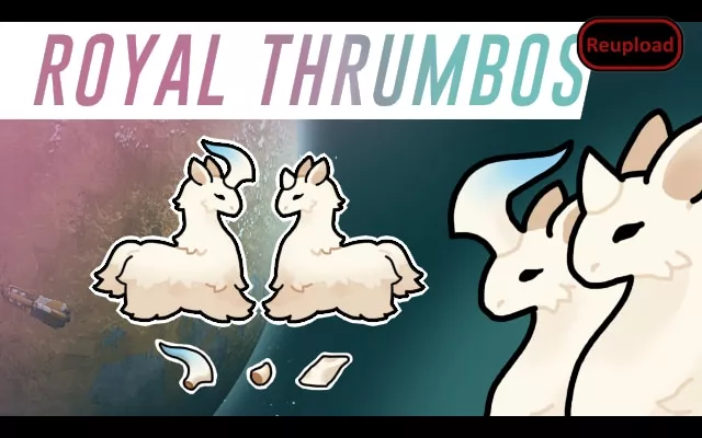 Royal Thrumbos (Continued)