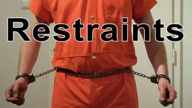 Restraints
