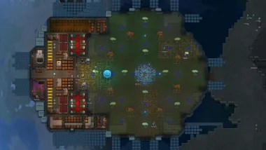 Complementary Odyssey 1