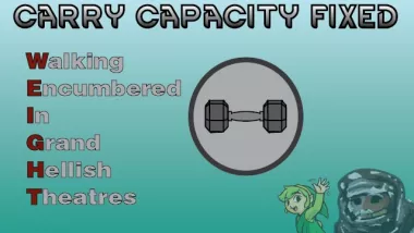 Carry Capacity Fixed (Continued)