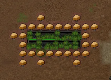 High Density Hydroponics 0