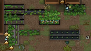 High Density Hydroponics 1