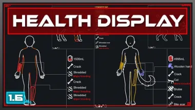 Health Display
