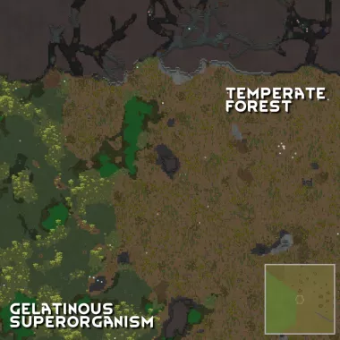 Biome Transitions 2